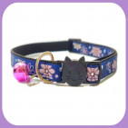 Collar-063